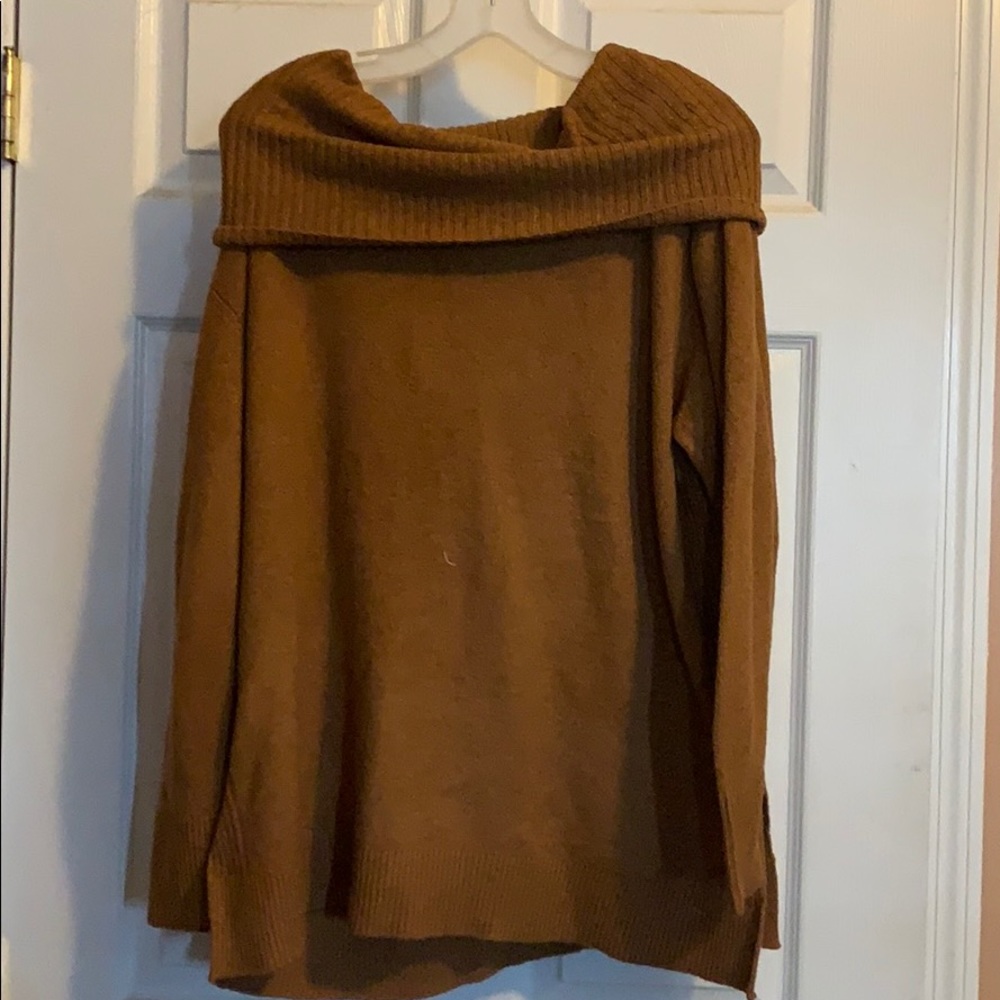 Burnt Orange Slouchy Turtleneck
